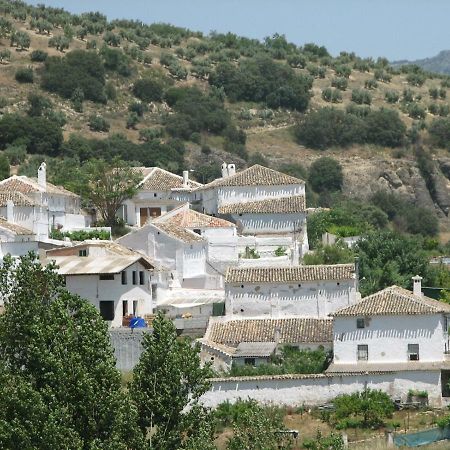 El Asno Azul Konuk evi Ribera Baja  Dış mekan fotoğraf