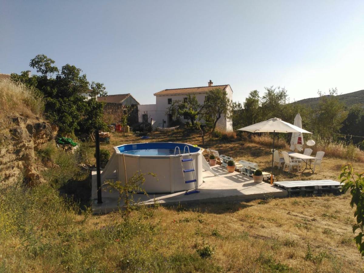 El Asno Azul Konuk evi Ribera Baja  Dış mekan fotoğraf